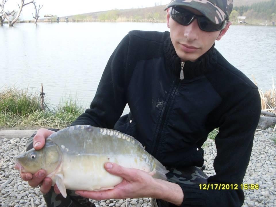 icn carp - 145924614013792001024861507427467n.jpg